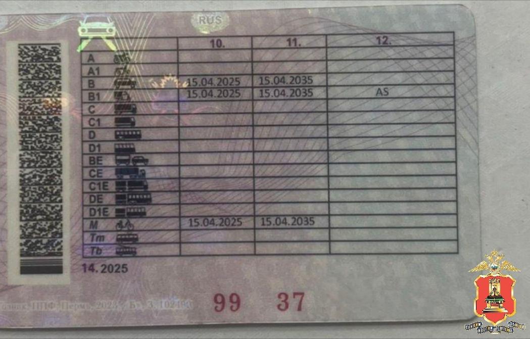 Вышневолоцкое ГАИ задержало водителя с поддельными «правами» - новости Афанасий