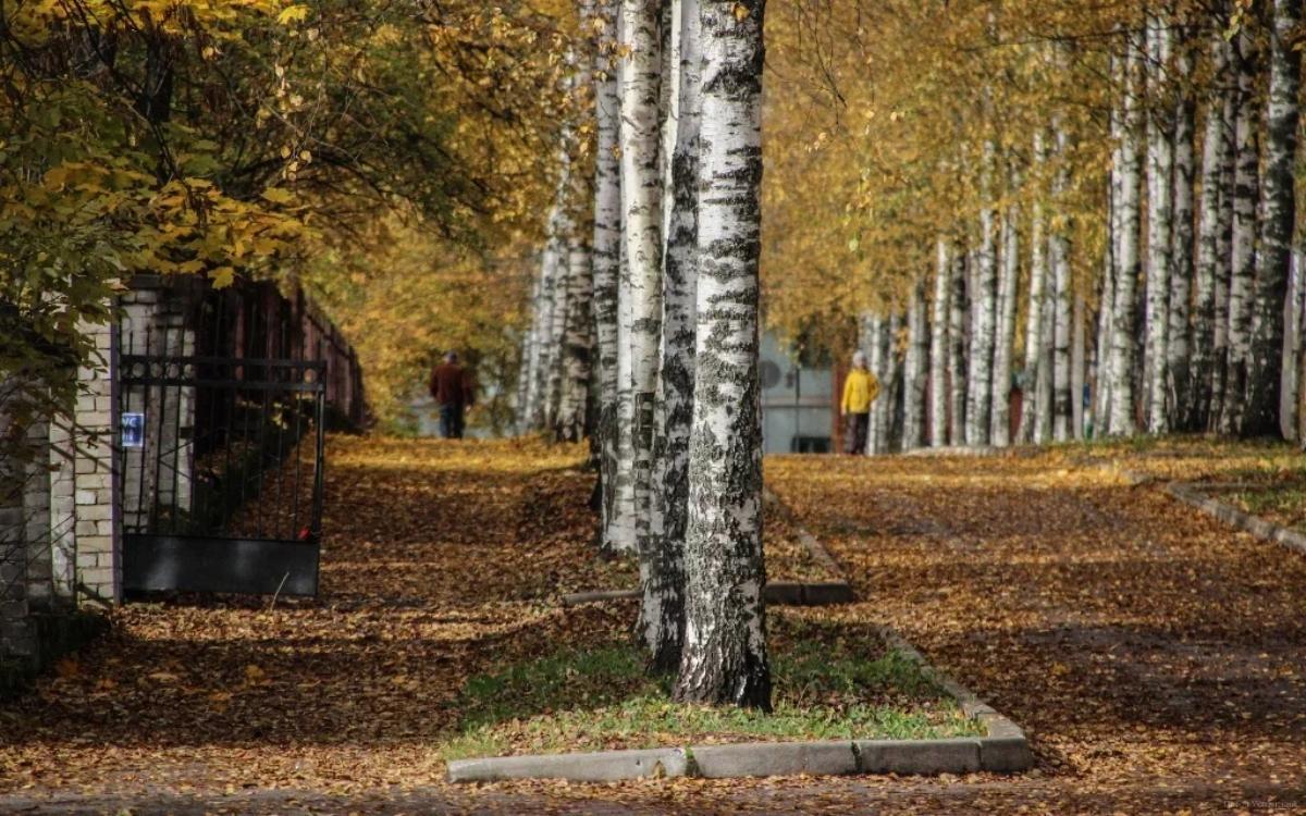 Сегодня в Твери все еще теплее, чем положено по климату Фото: архив редакции