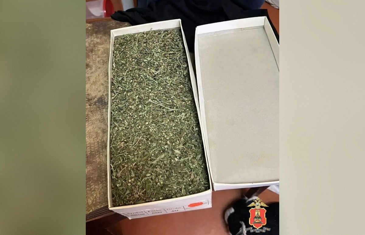 В Твери задержали мужчину с  коробкой из-под обуви, полной марихуаны Фото: УМВД Тверской облатсти