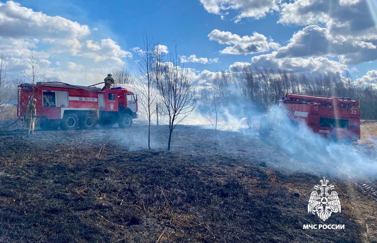 28 га сгорели в Тверской области накануне из-за палов травы - новости Афанасий