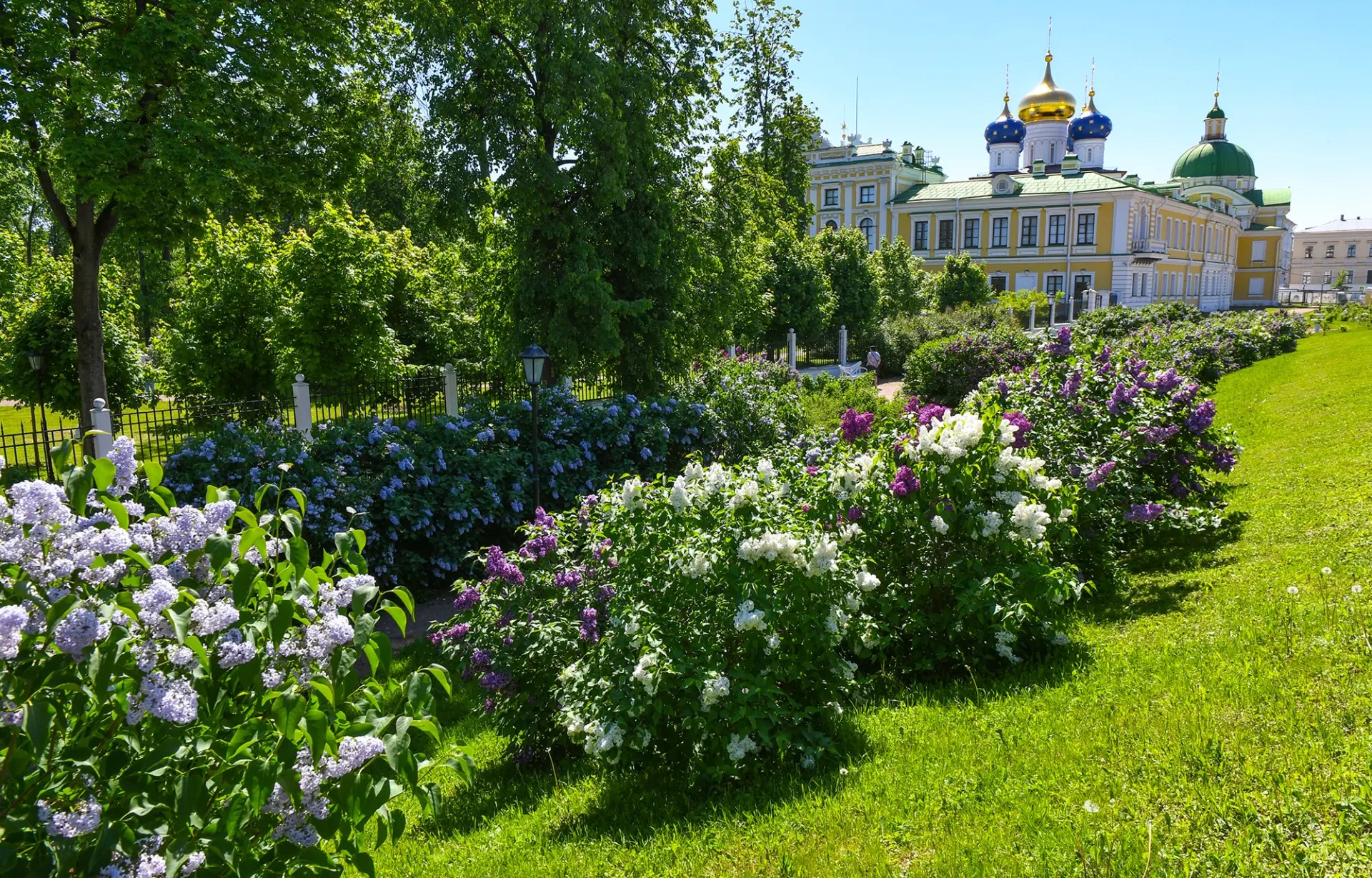 Виталий Королев: Тверь вошла в число привлекательных для жизни городов Фото: https://max.ru/korolev
