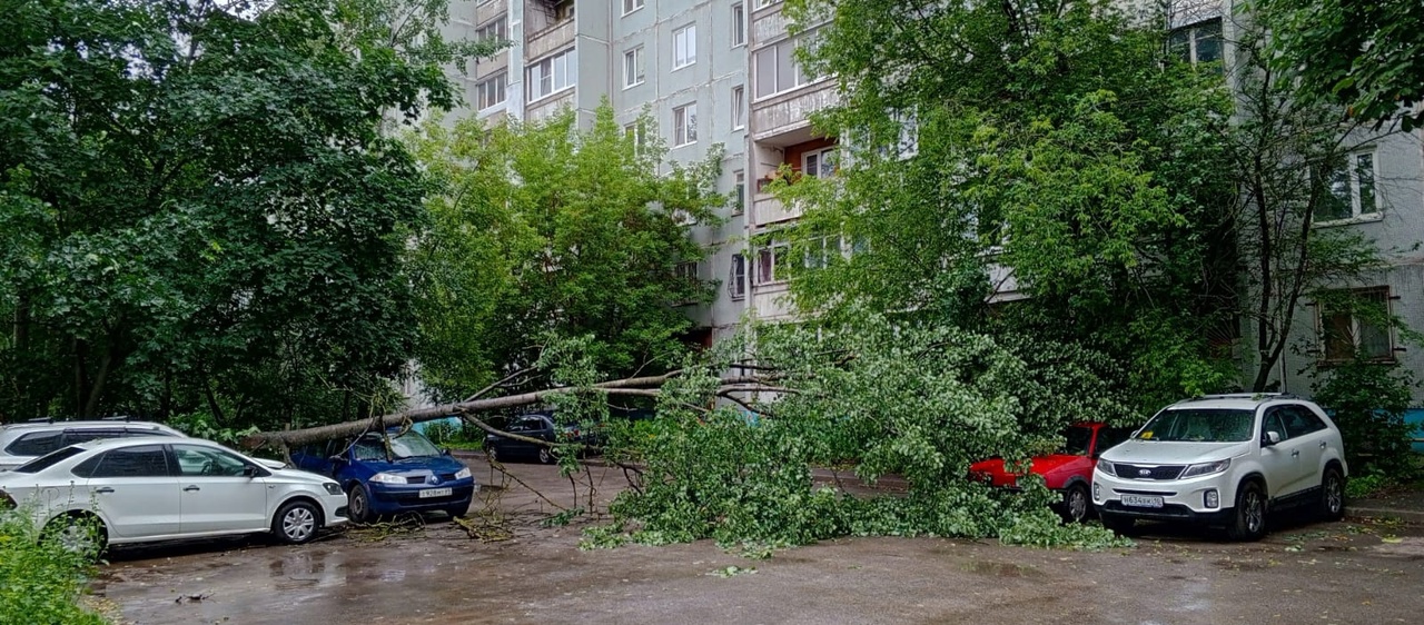 В Твери дерево упало на припаркованные машины  Фото: 
ПОДСЛУШАНО У ВОДИТЕЛЕЙ. ТВЕРЬ, 
Осторожно: Тверь