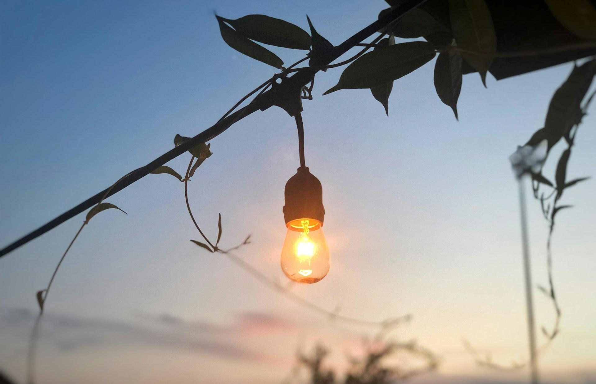 Дачникам в Редкино насчитали 285 тысяч рублей долга за электричество - новости Афанасий