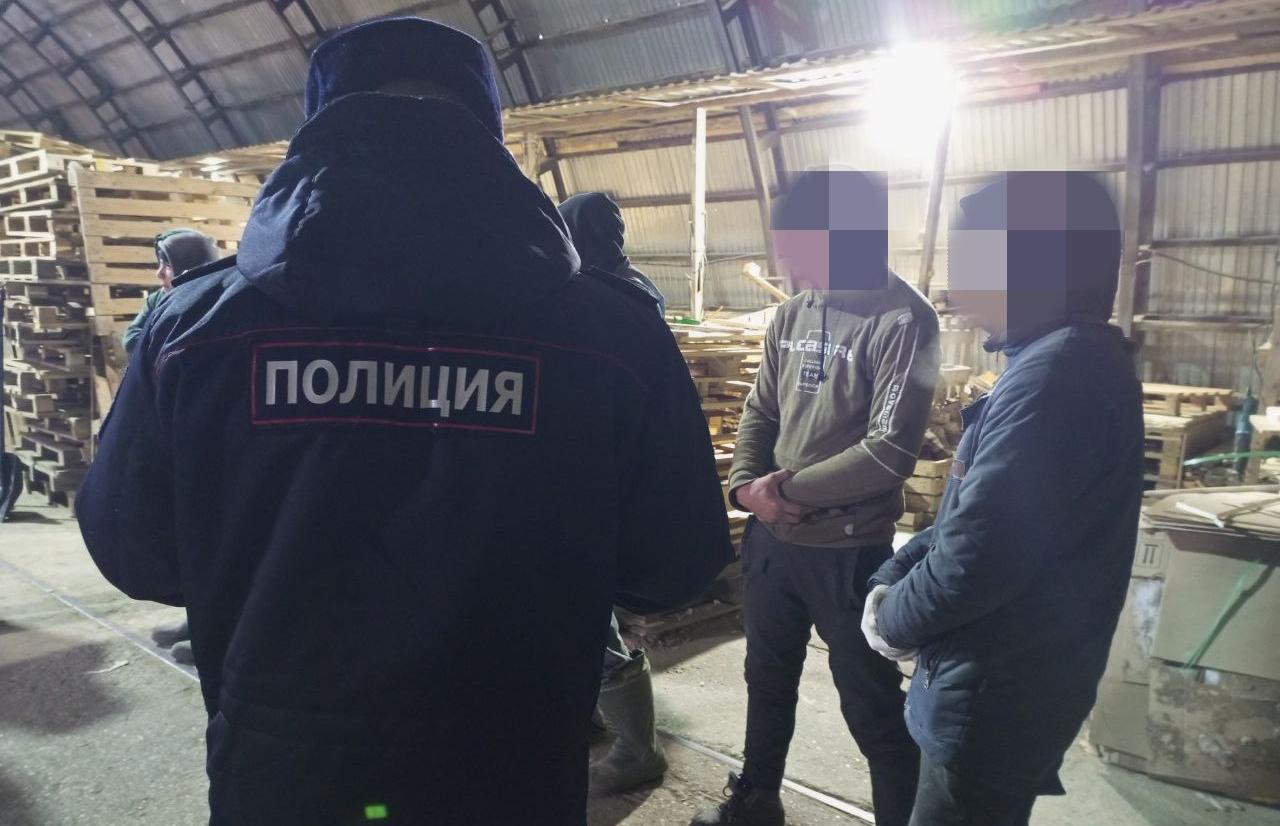 В Рамешках мигрант записал ребенка на брата ради ВНЖ - новости Афанасий