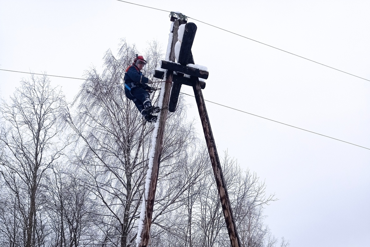 Бригады «Тверьэнерго» устраняют последствия снежного шторма в Тверской области  Фото: Тверьэнерго