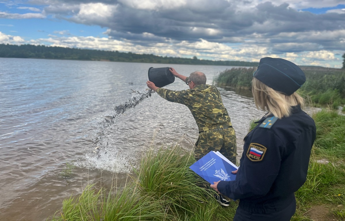 Строитель из Конаково под присмотром приставов выпустил в Волгу молодых сазанов - новости Афанасий