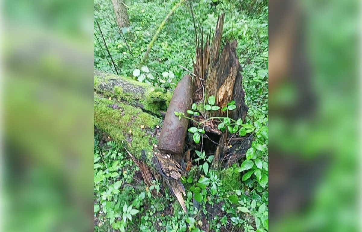 Под Тверью нашли военный снаряд Фото: МЧС по Тверской области