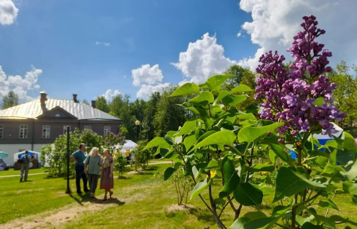 «Сиреневое Домотканово» проходит в Тверской области Фото предоставлены Тверской областной картинной галереей