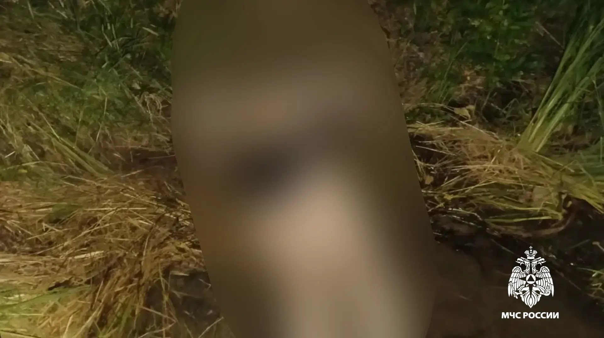 В Тверской области под Калязином утонула женщина 
