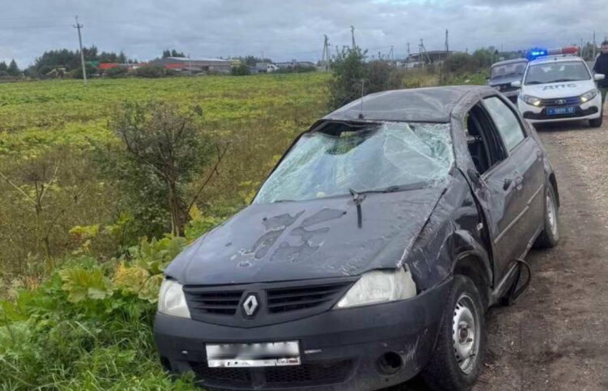 В Тверской области пострадавшая в ДТП женщина не справилась с управлением  - новости Афанасий