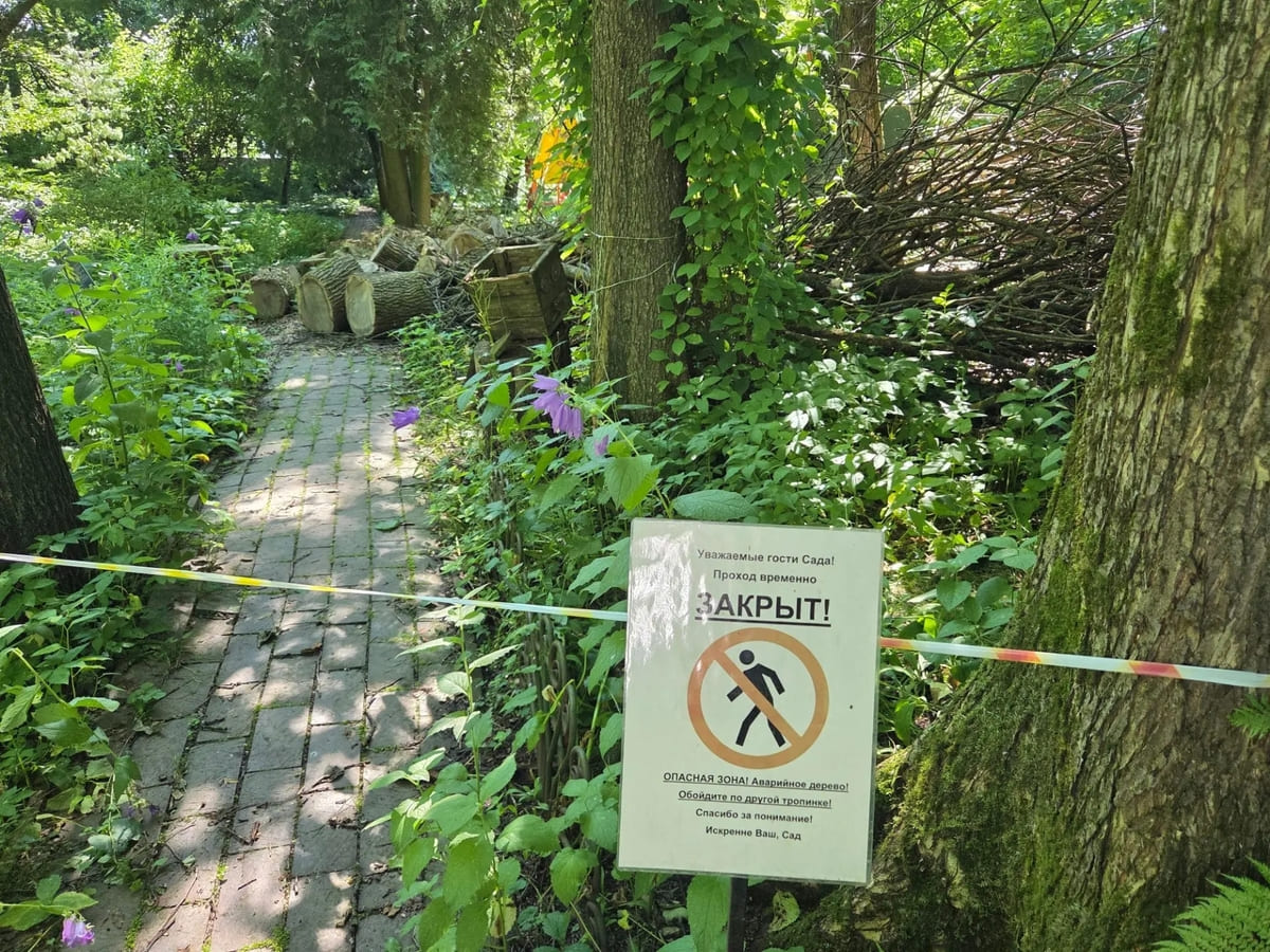 Часть тверского ботанического сада закрыли из-за аварийных деревьев Фото: Юрий Наумцев / 
Ботанический сад • Тверь