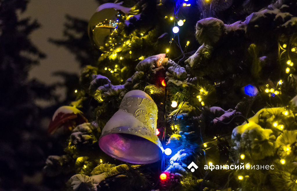 В Твери проверяют елочные базары 