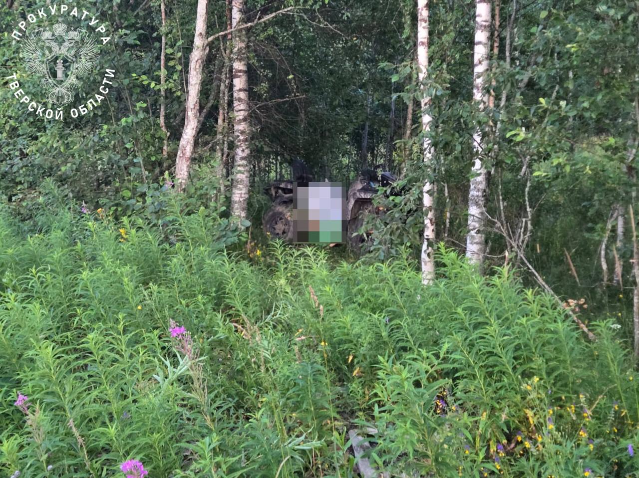 Ребенок погиб в ДТП с квадроциклом в Тверской области  - новости Афанасий