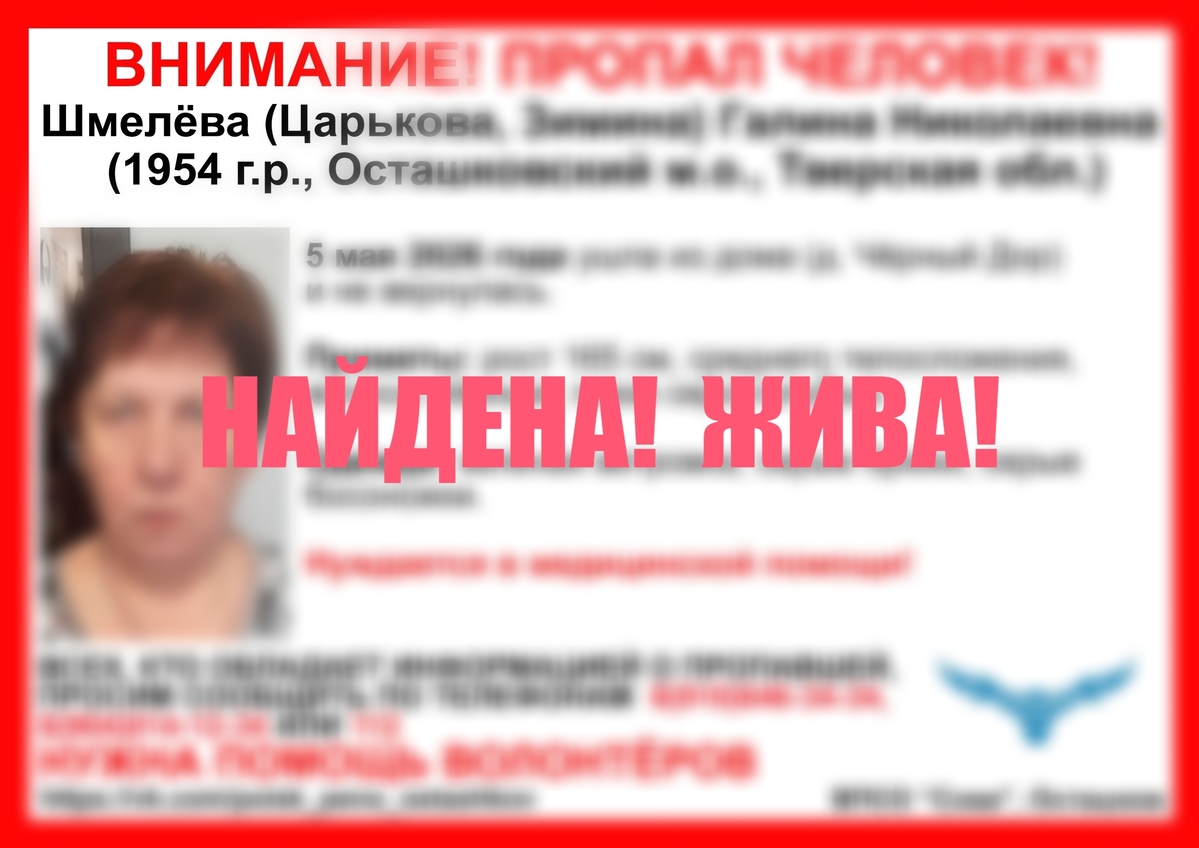 Завершился поиск пенсионерки, пропавшей в Осташковском округе Фото: ВПСО "Сова"