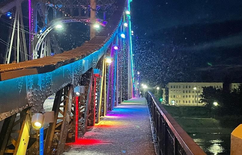 Ночью в Твери на Старом мосту была «метель» из насекомых - новости Афанасий