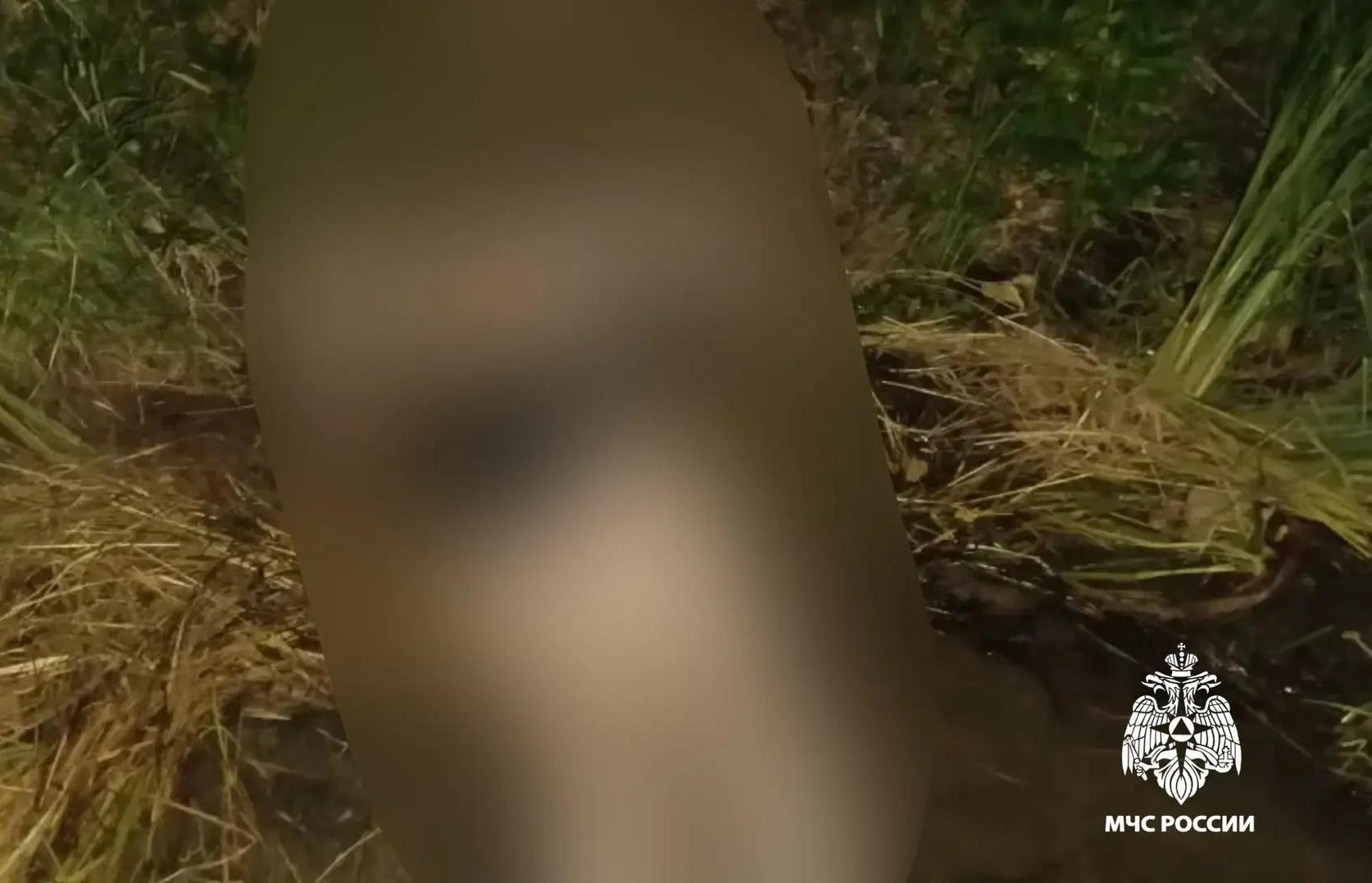 В Тверской области под Калязином утонула женщина - новости Афанасий
