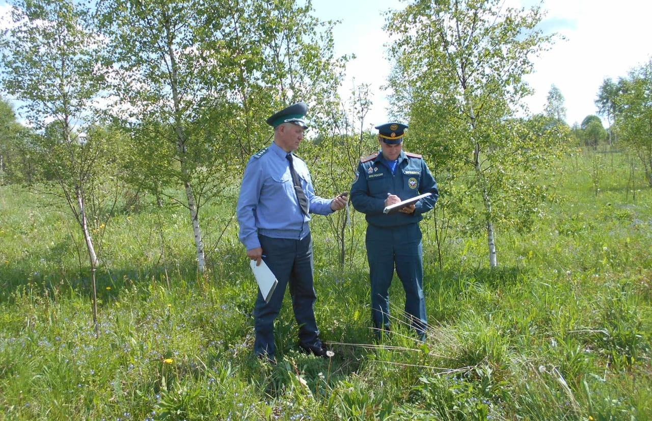 Почему нельзя строить жилье на землях сельскохозяйственных угодий, рассказывает Россельхознадзор Фото: Россельхознадзор