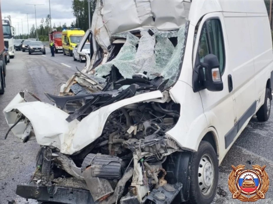 Причиной смертельного ДТП на М11 стало несоблюдение дистанции Фото: Управление Госавтоинспекции по Тверской области