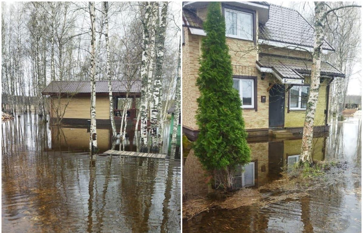 Жители домов у Селигера показали, как их затопило