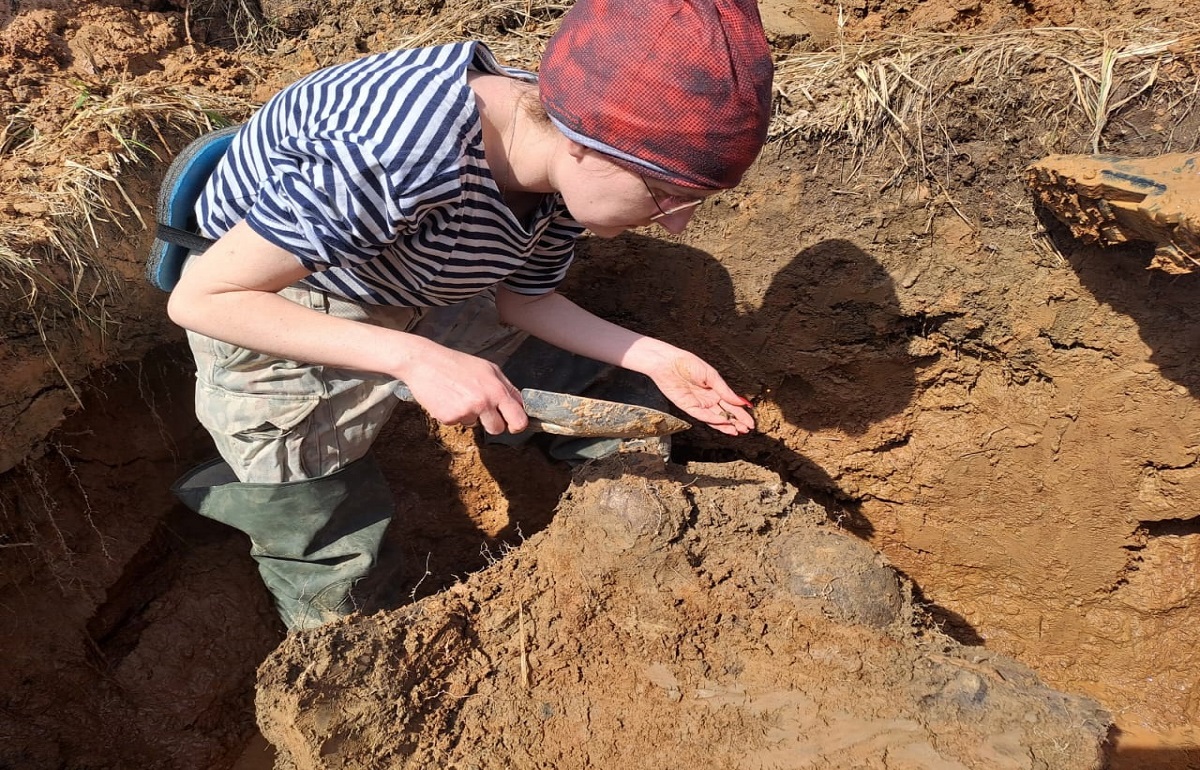 В Бельском районе обнаружены останки лейтенанта Красной Армии - новости Афанасий