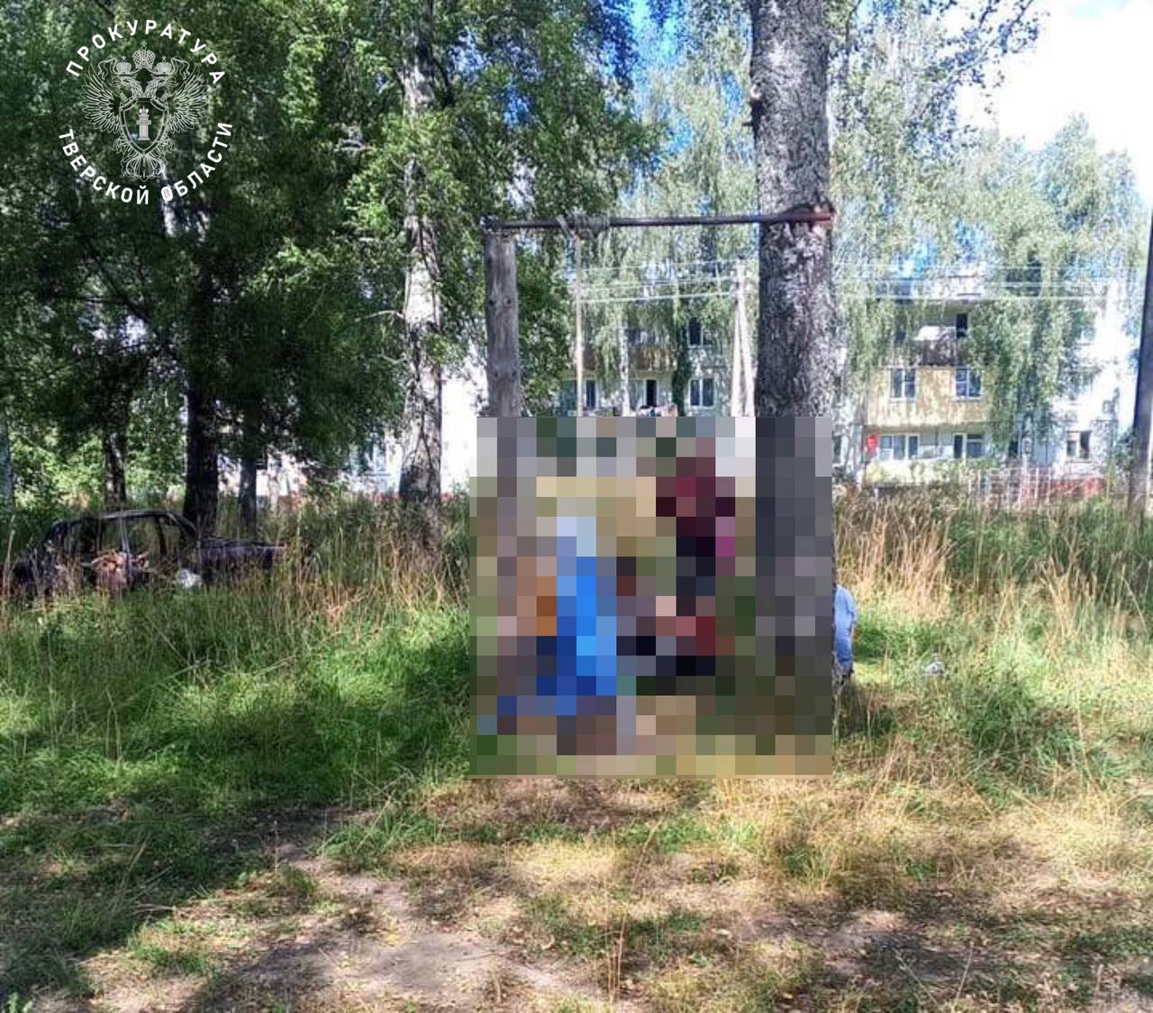 В Тверской области ребенок погиб на самодельных качелях Фото: прокуратура Тверской области