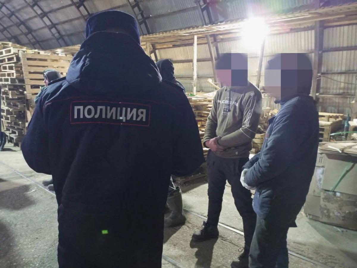 В Тверской области выявили 437 правонарушений в сфере миграции Фото: архив редакции
Видео: УМВД Тверской области