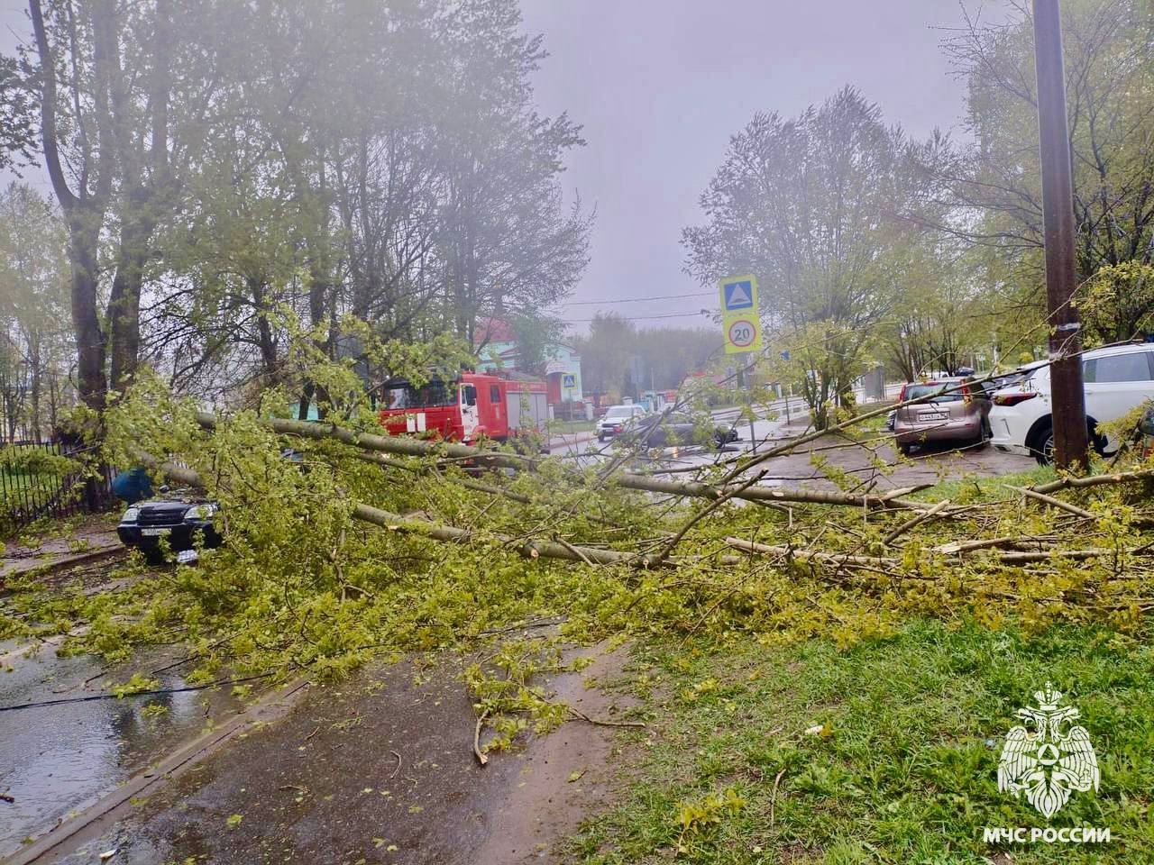 В Твери оперативно ликвидировали последствия непогоды