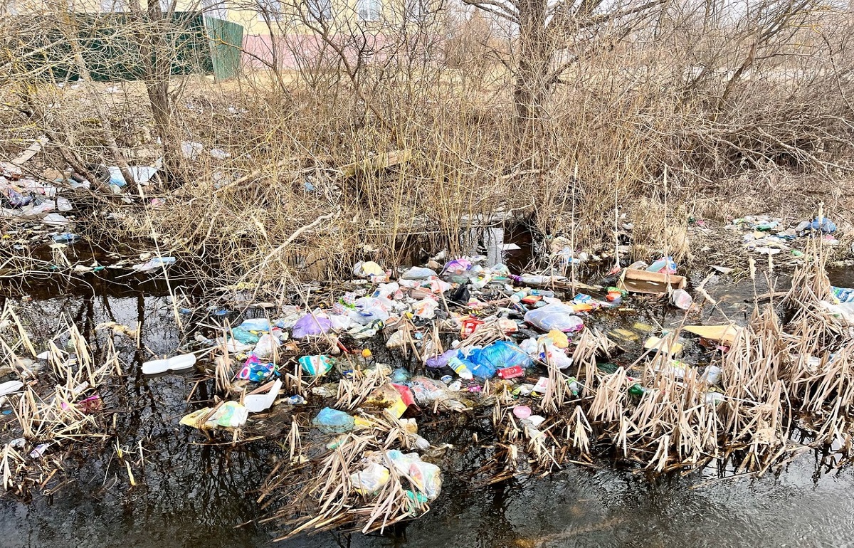 В Бологое появилась мусорная река Фото: Администрация Бологовского муниципального округа