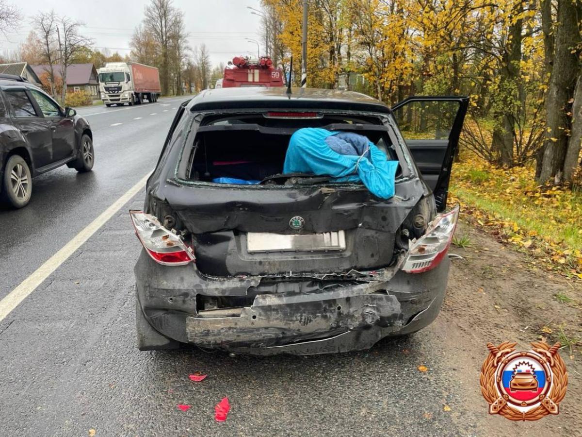 Два человека пострадали в ДТП на М10 под Торжком Фото: ГАИ