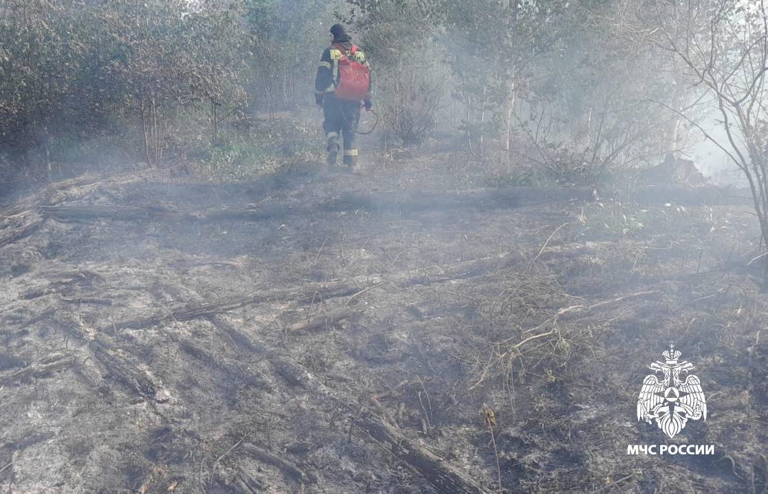 Лесной пожар под Осташковом ликвидирован  - новости Афанасий