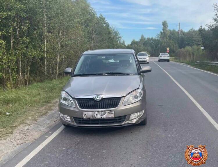 В Тверской области под Конаково у базы отдыха «Энергетик» сбили пешехода Фото: ГАИ