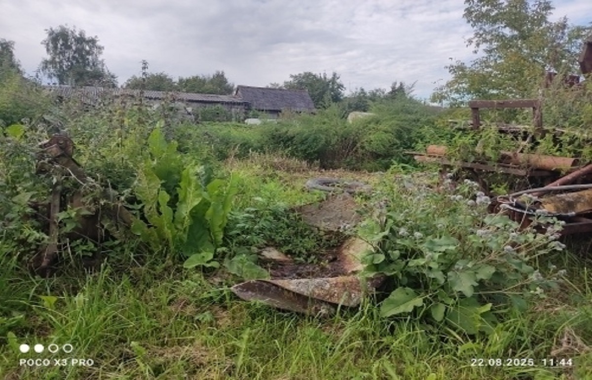 Под Тверью обнаружена свалка черного лома Фото: Минприроды Тверской области