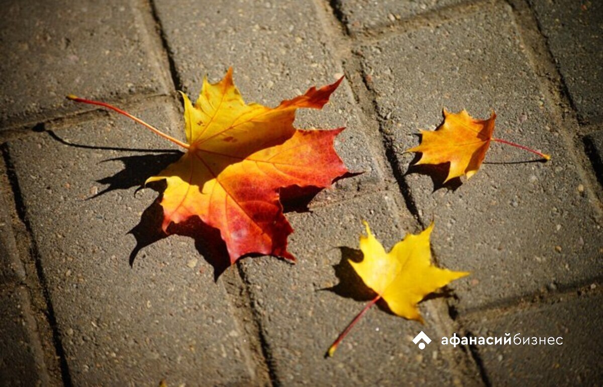 В Тверскую область пришла настоящая осень