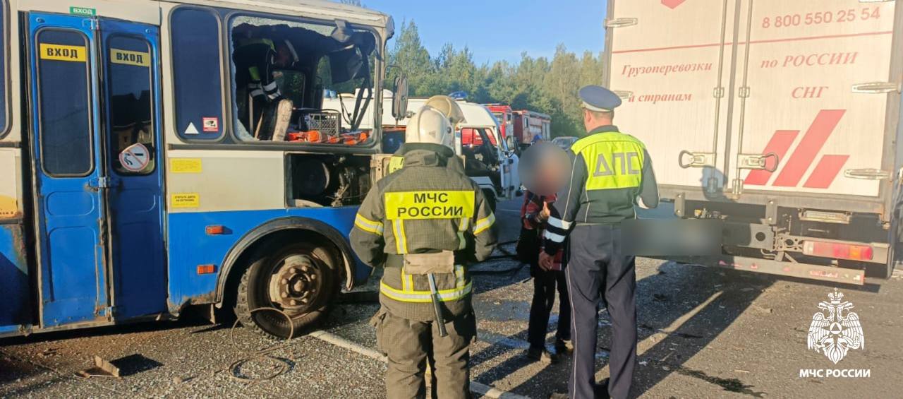 Восемь человек получили травмы в ДТП с автобусом на М9 в Тверской области Фото, видео: МЧС