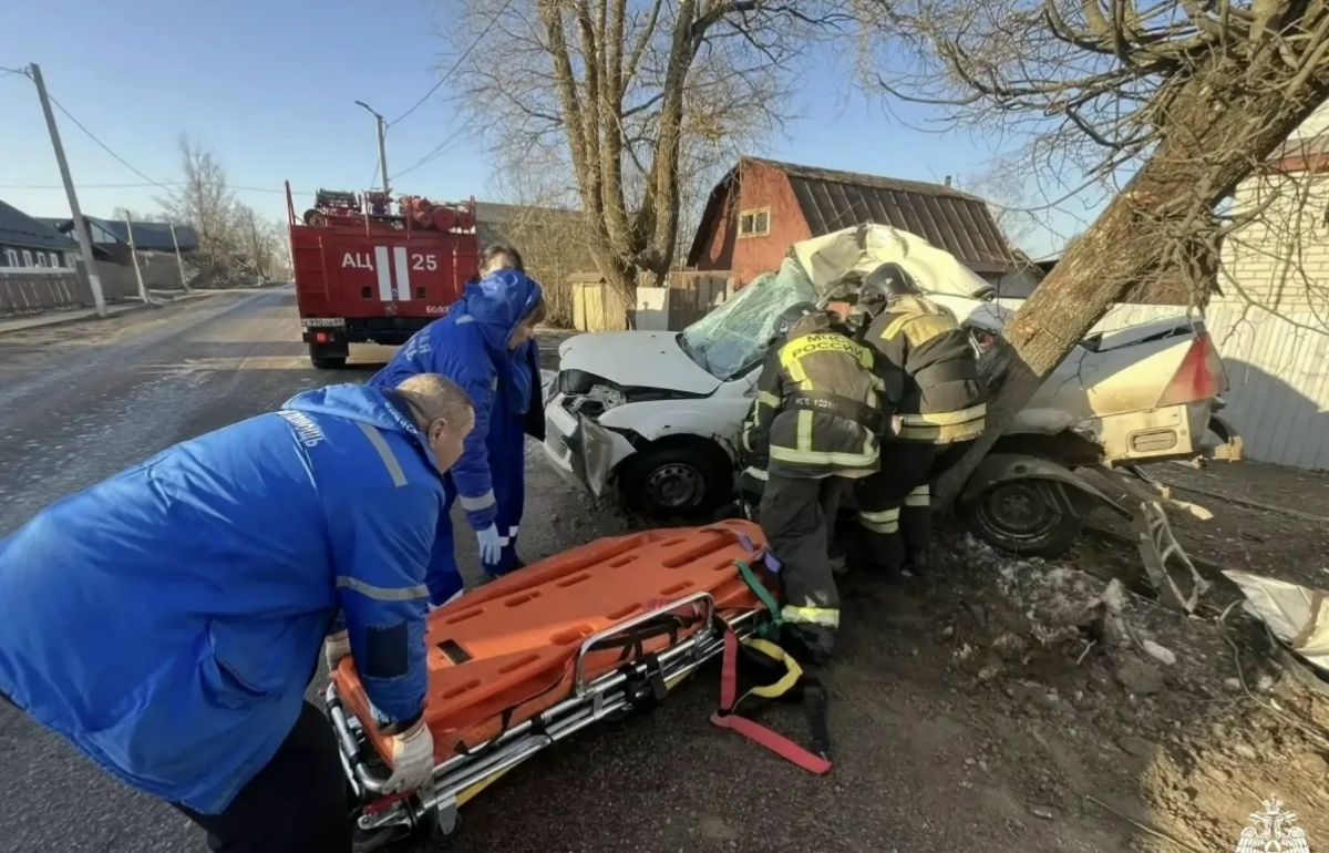 В Бологое автомобиль Ford влетел в дерево Фото, видео: МЧС по Тверской области
