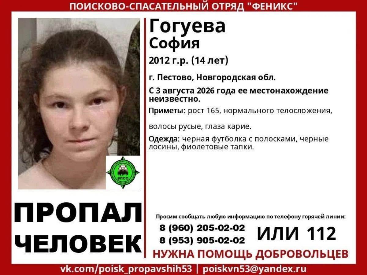 В Тверской области может находиться пропавший ребенок из соседнего региона Фото: 
Поисково-спасательный отряд "Пестово"