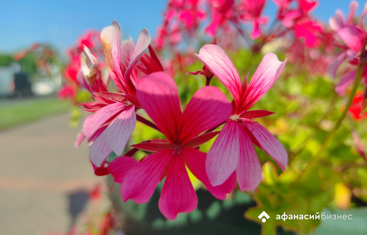 Бархатный сезон 2025: Турция, Египет и ОАЭ остаются в топе у путешественников Фото: Afanasy.biz