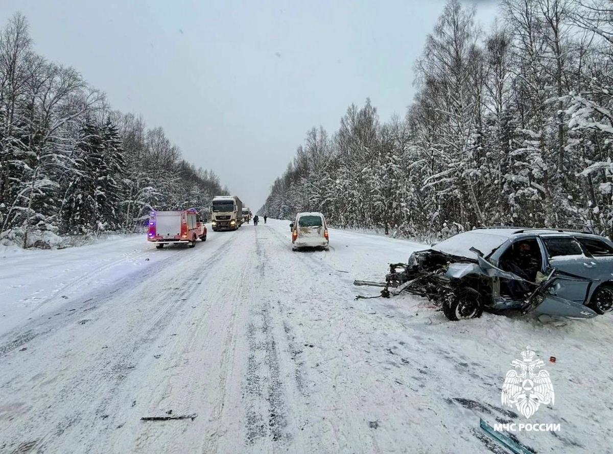 На М9 в Тверской области столкнулись четыре автомобиля Фото: МЧС