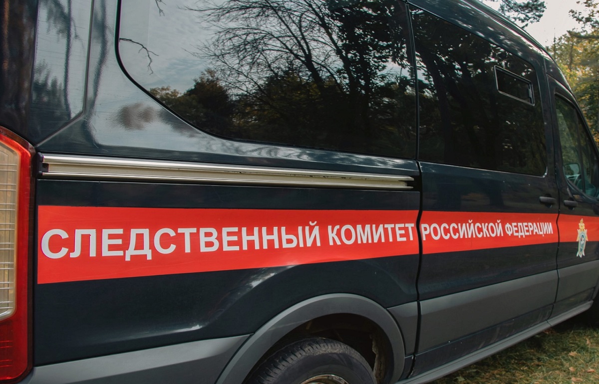 В Конаково арестовали подозреваемого в убийстве пенсионерки - новости Афанасий