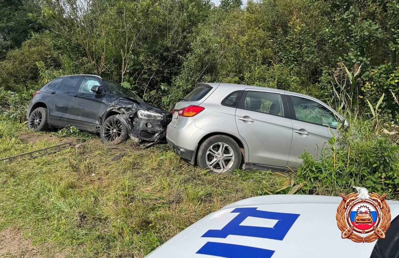В Тверской области под Осташковом пьяная женщина за рулем BMW устроила ДТП - новости Афанасий