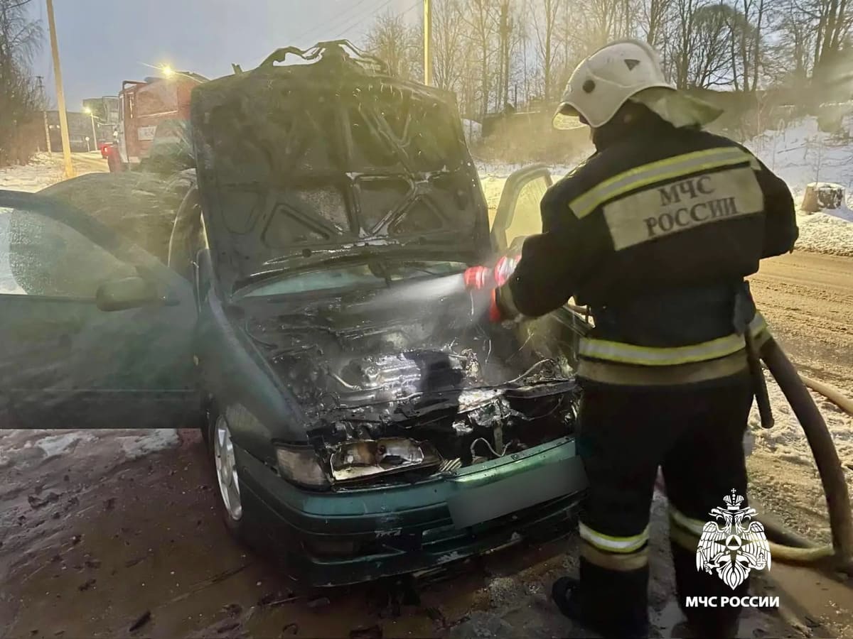 В Бологое пожарные спасли автомобиль от уничтожения  Фото: МЧС