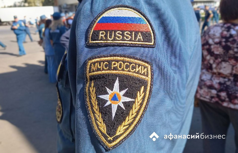 В деревне под Тверью спасатели МЧС сняли кота с дерева  - новости Афанасий