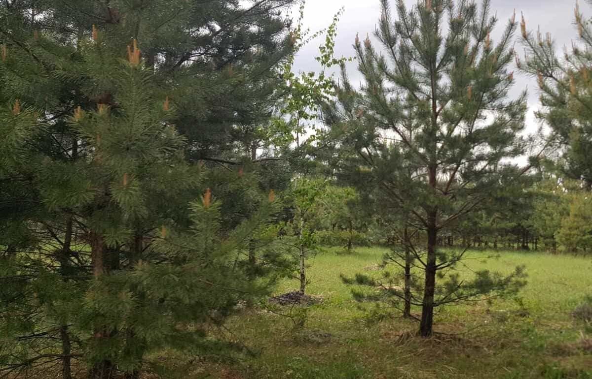 Под Лихославлем у собственника изъято два неиспользуемых участка сельхозземли - новости Афанасий