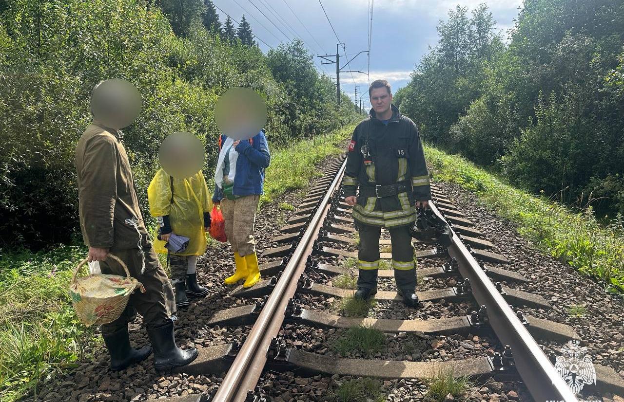 Жители Тверской области продолжают теряться в лесах - новости Афанасий