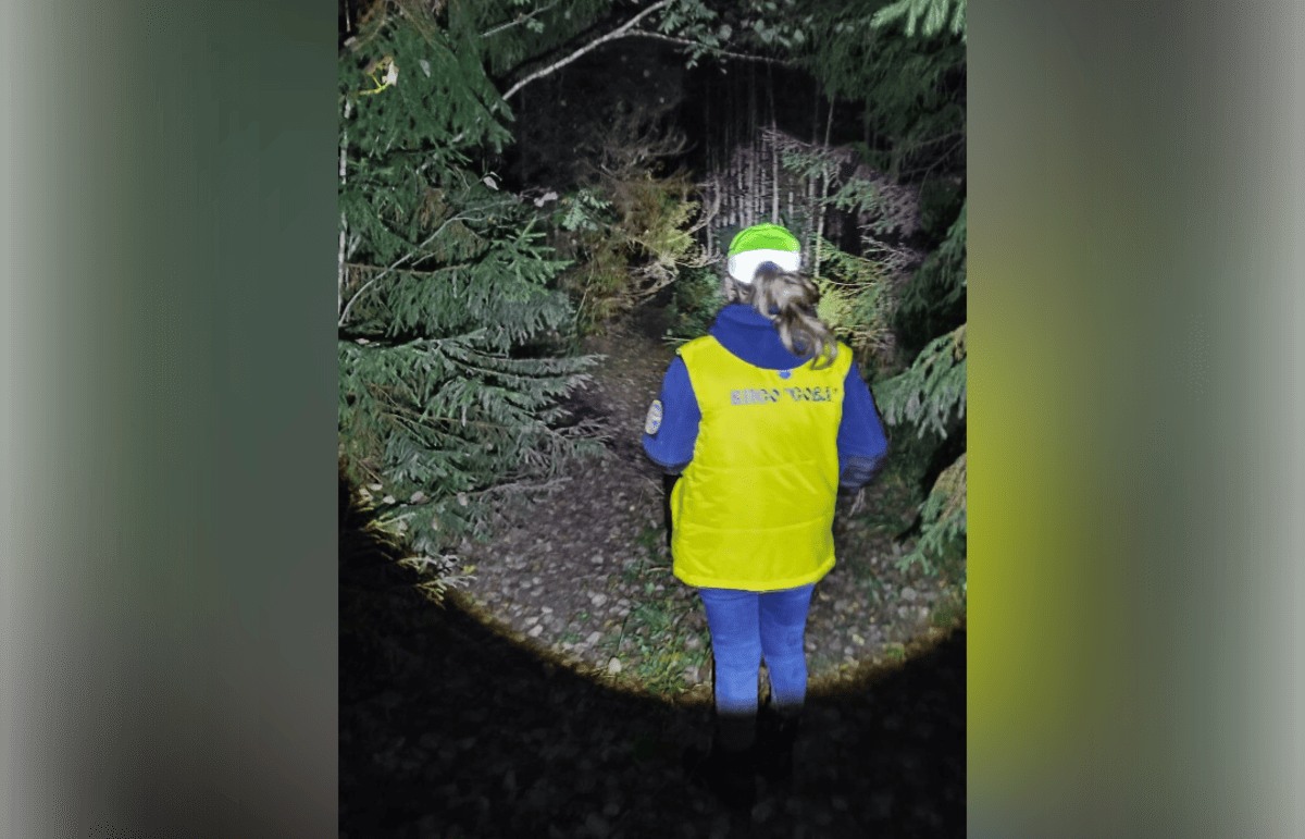 В Ржеве ищут добровольцев на поиски пропавшего 52-летнего мужчины - новости Афанасий