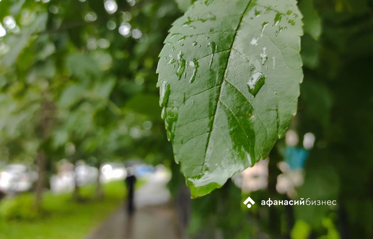 Сегодня в Твери по-осеннему прохладно Фото: архив Afanasy.biz