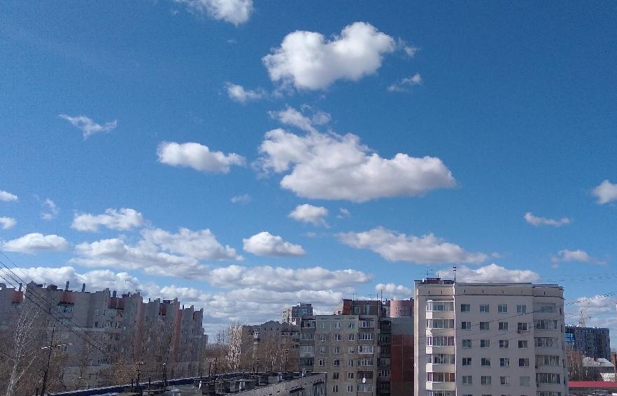 Антициклон прогреет воздух в Твери до +22 градусов 