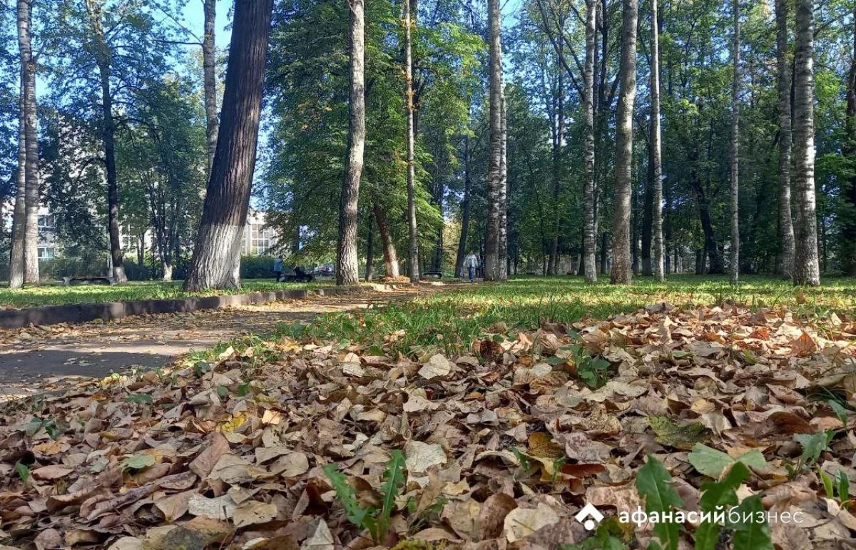 Сегодня в Твери стало прохладнее