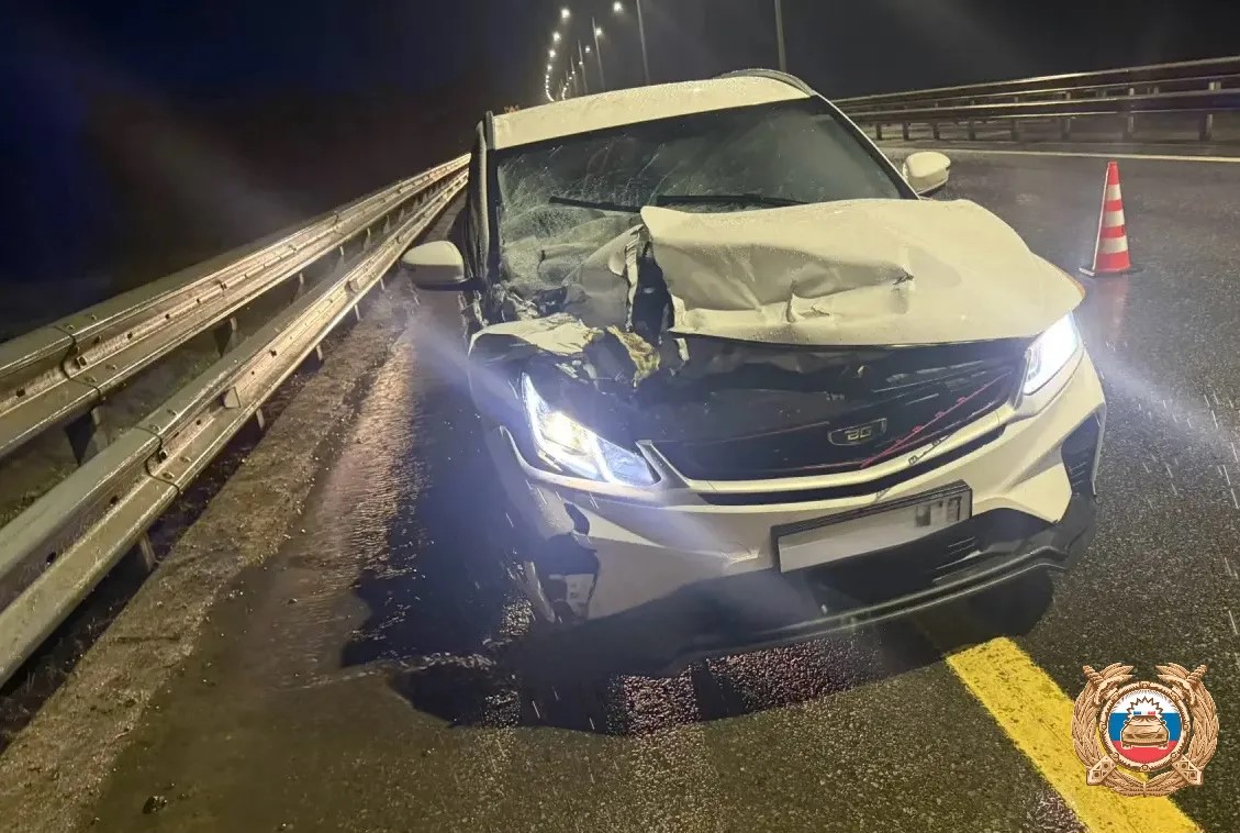 На М11 в Тверской области столкнулись легковушка и грузовик Фото: ГАИ