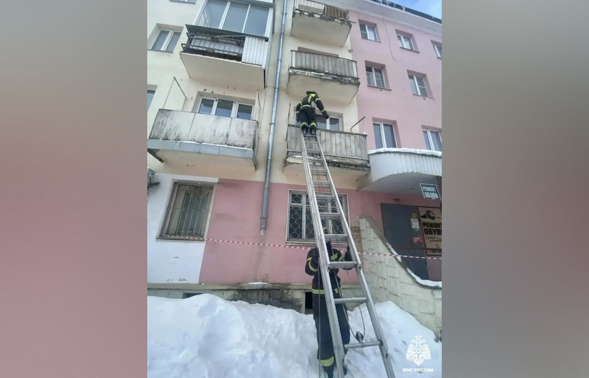 В Ржеве кота, два дня просидевшего на балконе, спускали пожарные Фото: МЧС